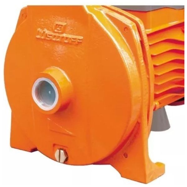 Bomba De Agua Centrífuga 1hp Electrobomba Lusqtoff - Imagen 2