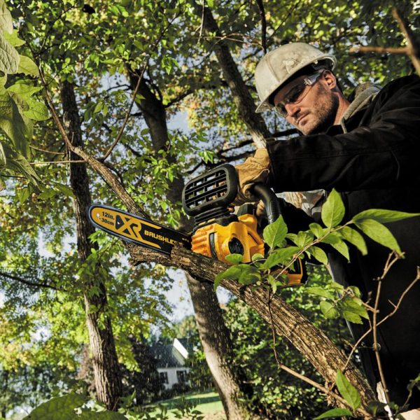 Motosierra Inalambrica Dewalt 20v Xr 12 S/bat S/carg - Imagen 5
