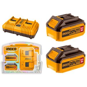Set X 2 Baterias 20v 5amp + 1 Cargador Ingco Fbcpk2425