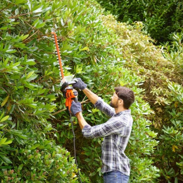 Cortacercos Black + Decker 500w Espada 56cm. - Imagen 5