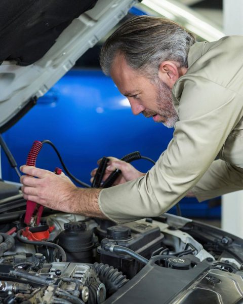 Cargador Y Arrancador De Baterías De Auto Ingco Profesional - Imagen 3