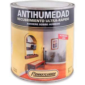 Pintura Antihumedad Pennsylvania 5 Kg Ferretería Chaplin