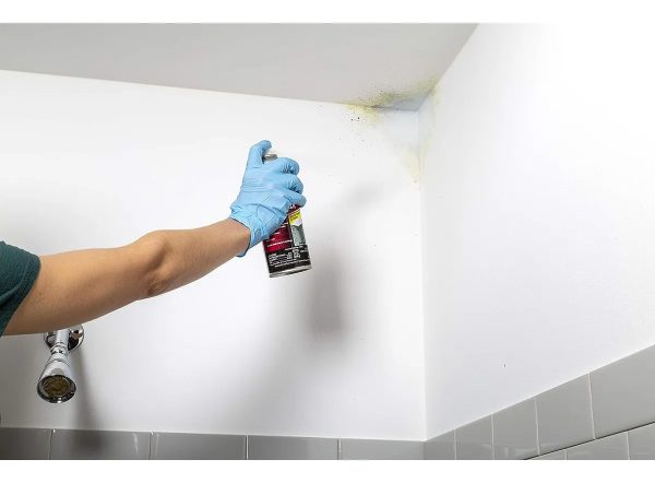 Spray 340gr Fondo Imprimante Eliminador De Hongos Y Moho - Imagen 3